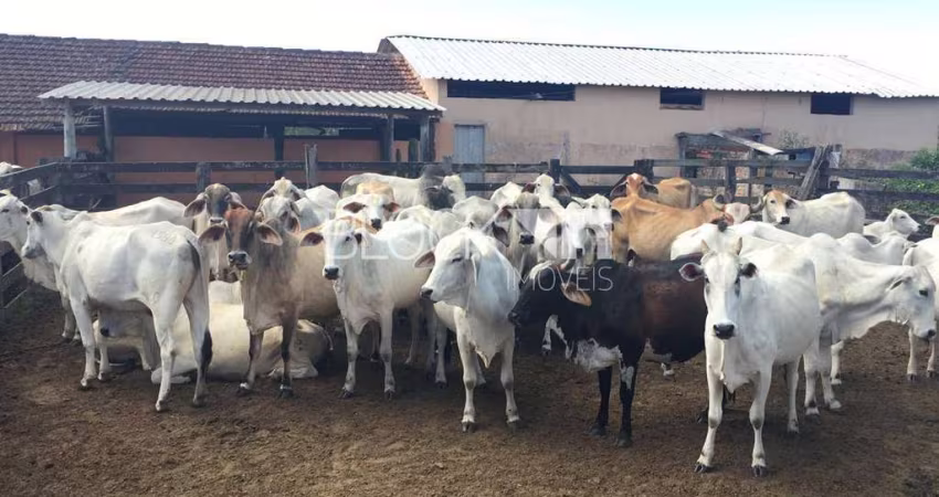 Fazenda à venda na Estrada municipal, --, Centro, Araruama