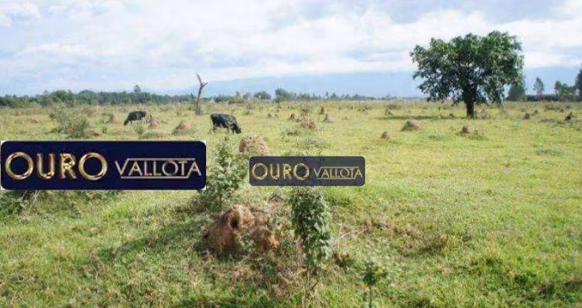 Terreno comercial à venda na Rodovia Presidente Dutra, Moreira César, Pindamonhangaba
