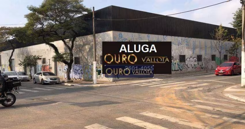 Terreno para alugar, 2970 m² por R$ 162.419,70/mês - Cambuci - São Paulo/SP