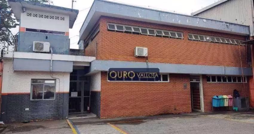 Barracão / Galpão / Depósito para alugar na Rua Doze de Setembro, Vila Guilherme, São Paulo
