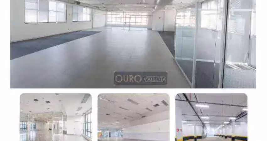 Prédio para alugar na Avenida Santa Catarina, Vila Santa Catarina, São Paulo