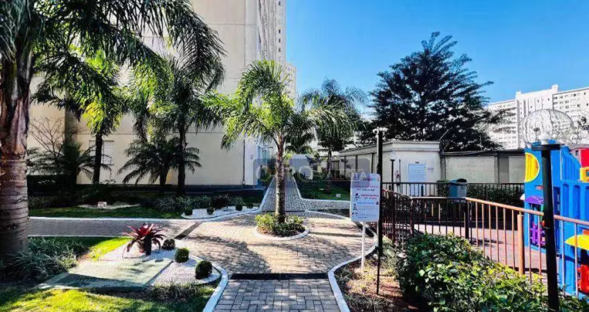Apartamento com 2 quartos à venda na Viela Um, Jardim Íris, São Paulo