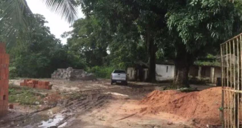 Terreno em valéria com 16.000 m², excelente para galpão e minha casa minha vida