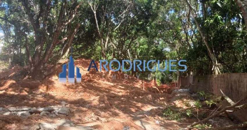 Terreno Comercial de 15.000,00 m² em Boa União, Camaçari-BA: Oportunidade Única de Investimento!