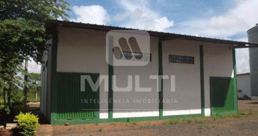 Barracão / Galpão / Depósito para alugar na Área Rural de Uberlândia, Uberlândia 