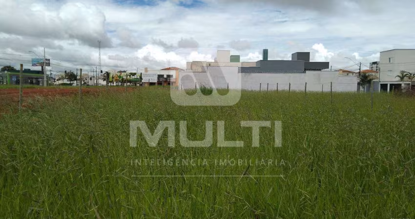Terreno comercial para alugar no Novo Mundo, Uberlândia 