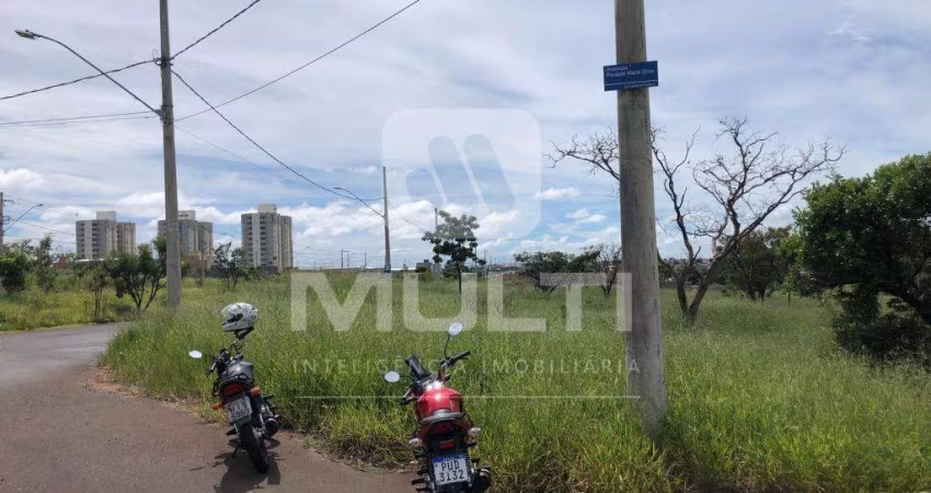 Terreno comercial para alugar no Luizote de Freitas, Uberlândia 