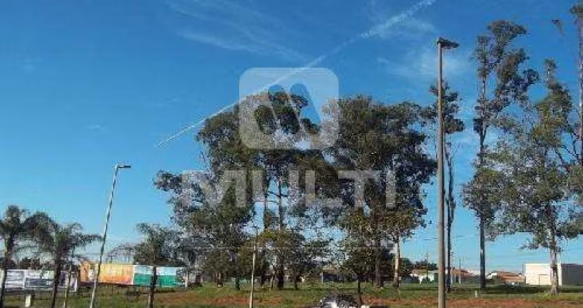 Terreno comercial à venda no Jardim Patrícia, Uberlândia 