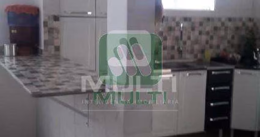 Casa com 3 quartos à venda no Canaã, Uberlândia 