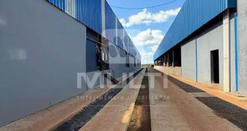 Barracão / Galpão / Depósito para alugar no Loteamento Centro Empresarial Leste III, Uberlândia 