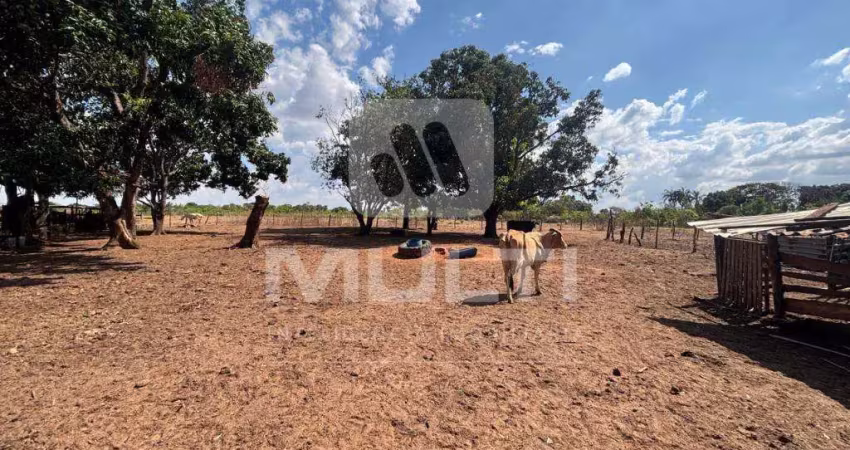 Chácara / sítio com 1 quarto à venda no Chácaras Uirapuru, Uberlândia 