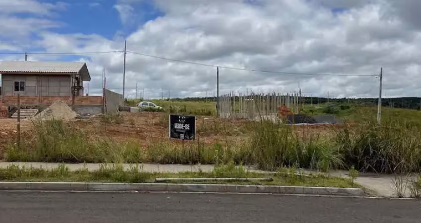 Terreno à venda na Rua Pastor Alcy Vaz Da Costa, Morro Alto, Guarapuava
