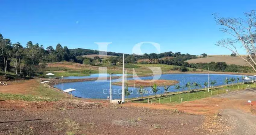Terreno comercial à venda na BR 466, Palmeirinha, Guarapuava