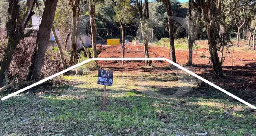 Terreno à venda na Rua Lages, Santa Cruz, Guarapuava