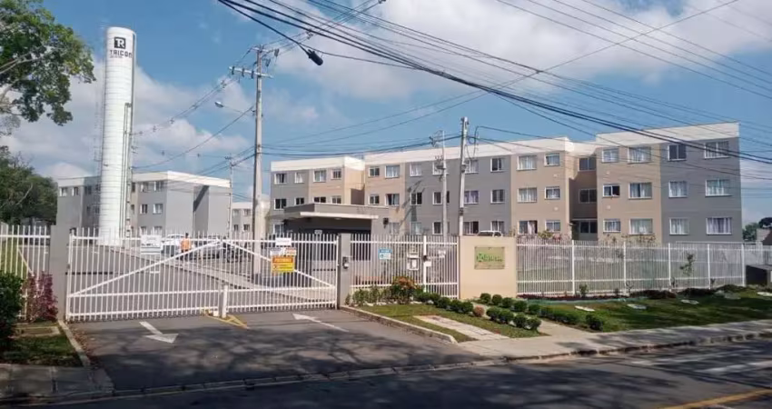 Apartamento com 2 quartos à venda na Rua José de Paiva Vidal, 1543, Vila Santa Terezinha, Campo Largo