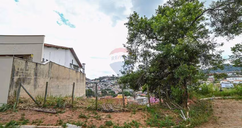 Terreno para venda no bairro quintas avenida em juzi de fora, mg.