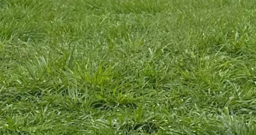 Terreno em condomínio de 504 m² à venda no condomínio Alphaville I, Zona Sul de Ribeirão Preto