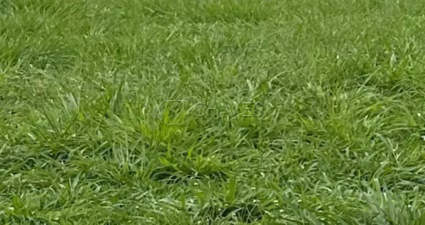 Terreno em condomínio fechado à venda na Avenida Luiz Eduardo Toledo Prado, Terreno, --, Vila do Golf, Ribeirão Preto