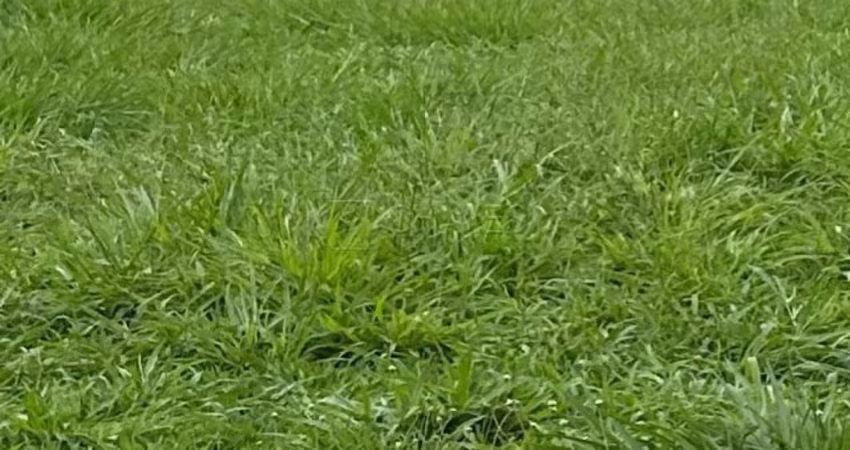 Terreno condomínio de 1.630 m² à venda no condomínio Guaporé III, Zona Sul de Ribeirão Preto