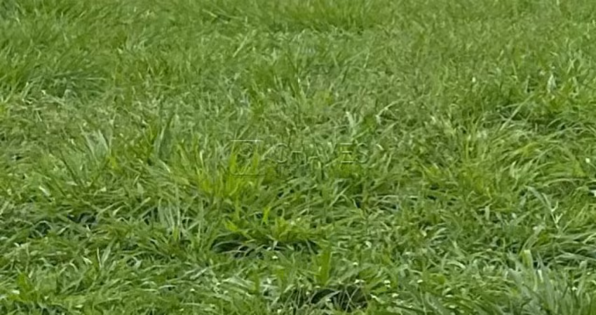 Terreno em condomínio de 823,50 m² à venda no condomínio terras de siena, loteamento terras de siena, zona sul de ribeirão preto