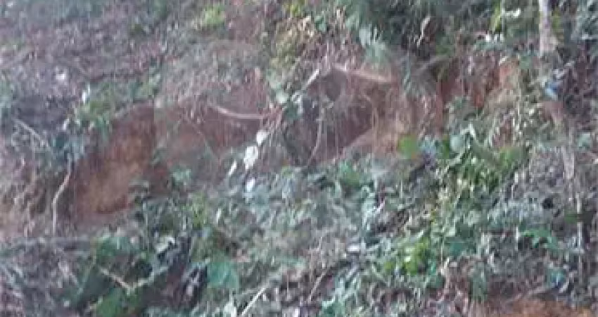 Casa em condomínio fechado à venda na Jardim Da Serra, Serra da Cantareira, Mairiporã