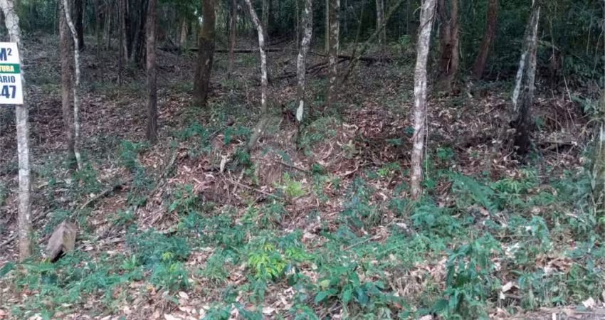 Casa em condomínio fechado à venda na Das Gaivotas, Caraguatá, Mairiporã