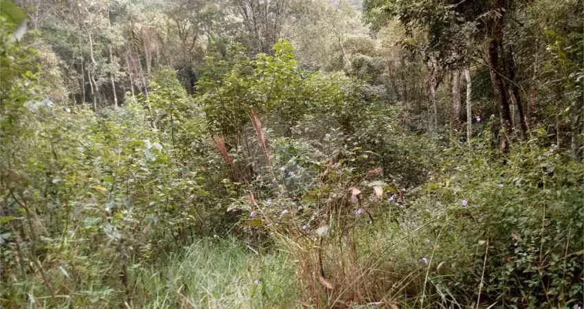 Terreno à venda na Vereador Belarmino Pereira De Carvalho, Serra da Cantareira, Mairiporã