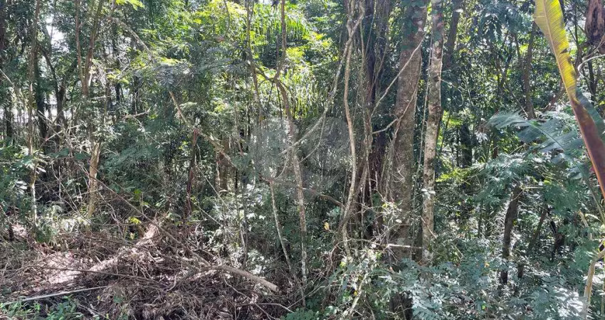Casa em condomínio fechado à venda na Vereador Belarmino Pereira De Carvalho, Serra da Cantareira, Mairiporã