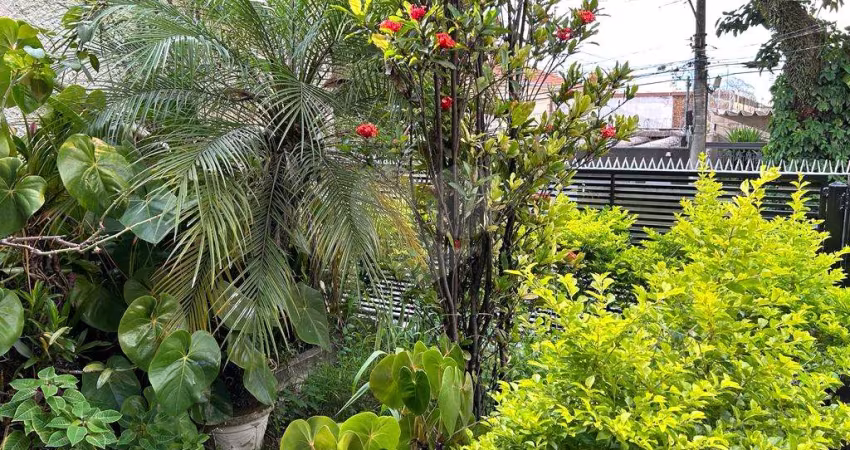 Casa com 3 quartos à venda em Vila Monumento - SP