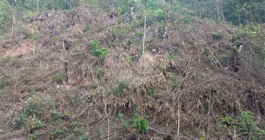 Casa em condomínio fechado à venda na Doutor Arthur Andrade Filho, Caraguatá, Mairiporã