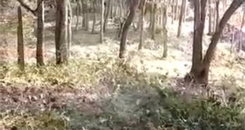 Terreno à venda em Luiz Fagundes - SP