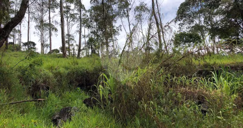Terreno à venda na Vereador Belarmino Pereira De Carvalho, Serra da Cantareira, Mairiporã