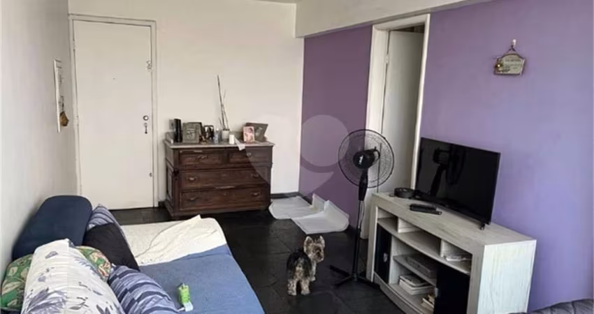 Apartamento com 3 quartos à venda em Tucuruvi - SP