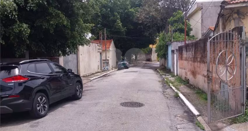 Terreno à venda na Dez De Setembro, Vila Guilherme, São Paulo