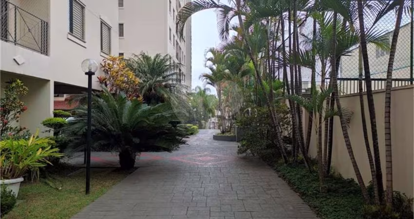 Apartamento com 3 quartos à venda em Lauzane Paulista - SP