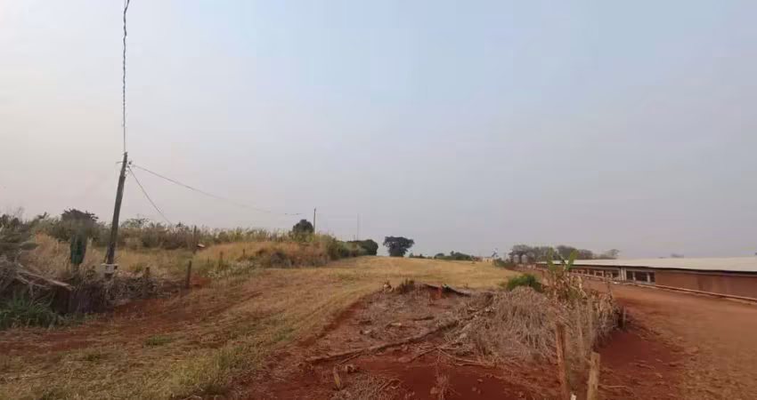 Chácara / sítio à venda na Estrada Santa Fé de Marialva, Zona Rural, Marialva