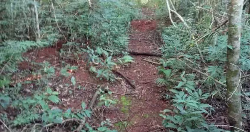 Chácara / sítio à venda na Estrada Vieira, Zona Rural, Marialva
