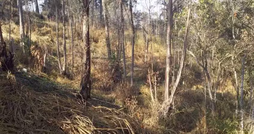 Terreno à venda, 8600 m² por r$ 400.000,00 - jardim dos lagos - franco da rocha/sp