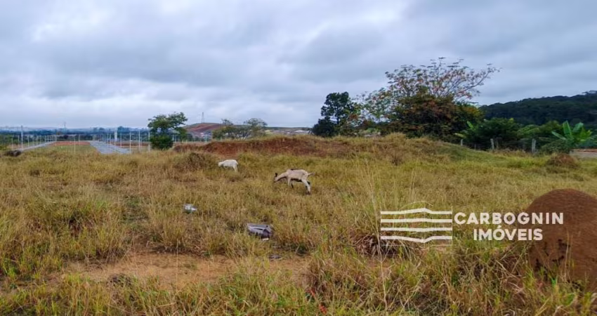 Terreno a Venda no Jardim Panorama em Caçapava