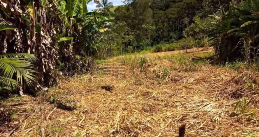 Sítio a Venda no Pedregulho em Caçapava