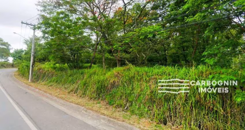 Terreno à venda na Rodovia Doutor Edmir Viana Moura, SP062, Santa Luzia, Caçapava