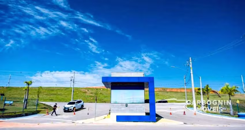 Terreno comercial à venda na Rodovia Vito Ardito, KM 01, Jardim Campo Grande, Caçapava