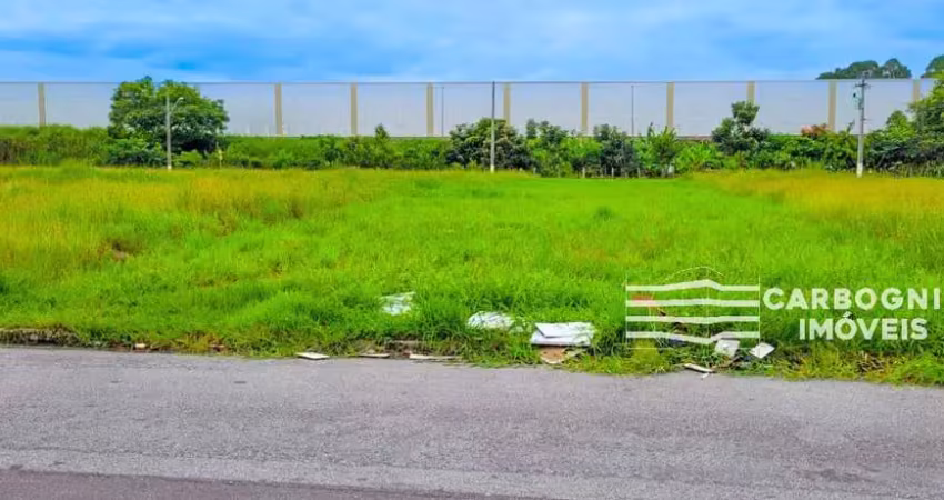 Terreno em condomínio fechado à venda na Avenida Francisco Alves Moreira, L18, Jardim Amália, Caçapava
