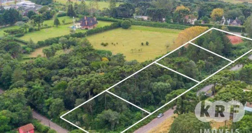 Terreno à venda, 8260 m² por r$ 3.549.000,00 - alphaville graciosa - pinhais/pr