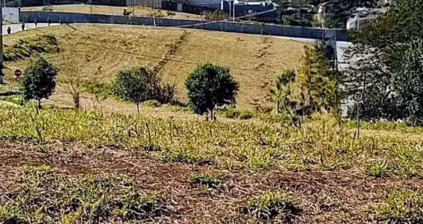 Terreno em condomínio fechado à venda na Avenida Isaura Leme de Siqueira, 100, Residencial Floresta São Vicente, Bragança Paulista