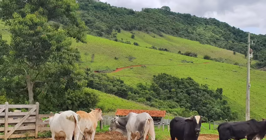 Munhoz/mg rural fazenda com 60 alqueires, divisa com socorro/sp