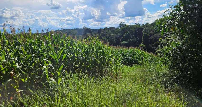 Chácara para venda em Contenda de 36400.00m² com 1 Quarto