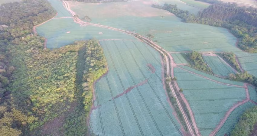 Chácara para venda em Contenda de 847000.00m² com 1 Quarto