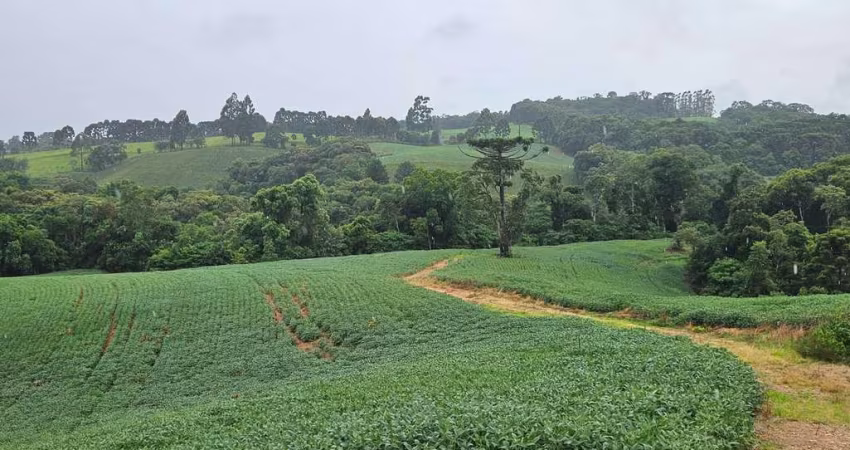 Chácara para venda em Contenda de 79000.00m² com 1 Quarto