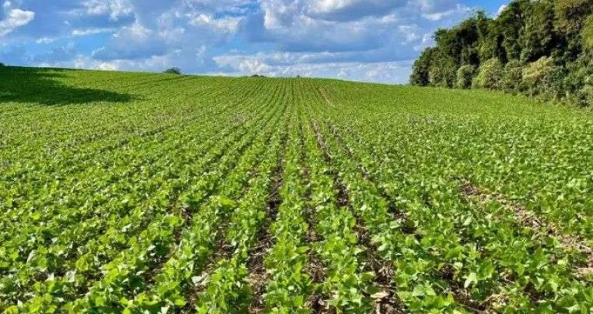 Chácara para venda em Barigui de 23600.00m² com 1 Quarto